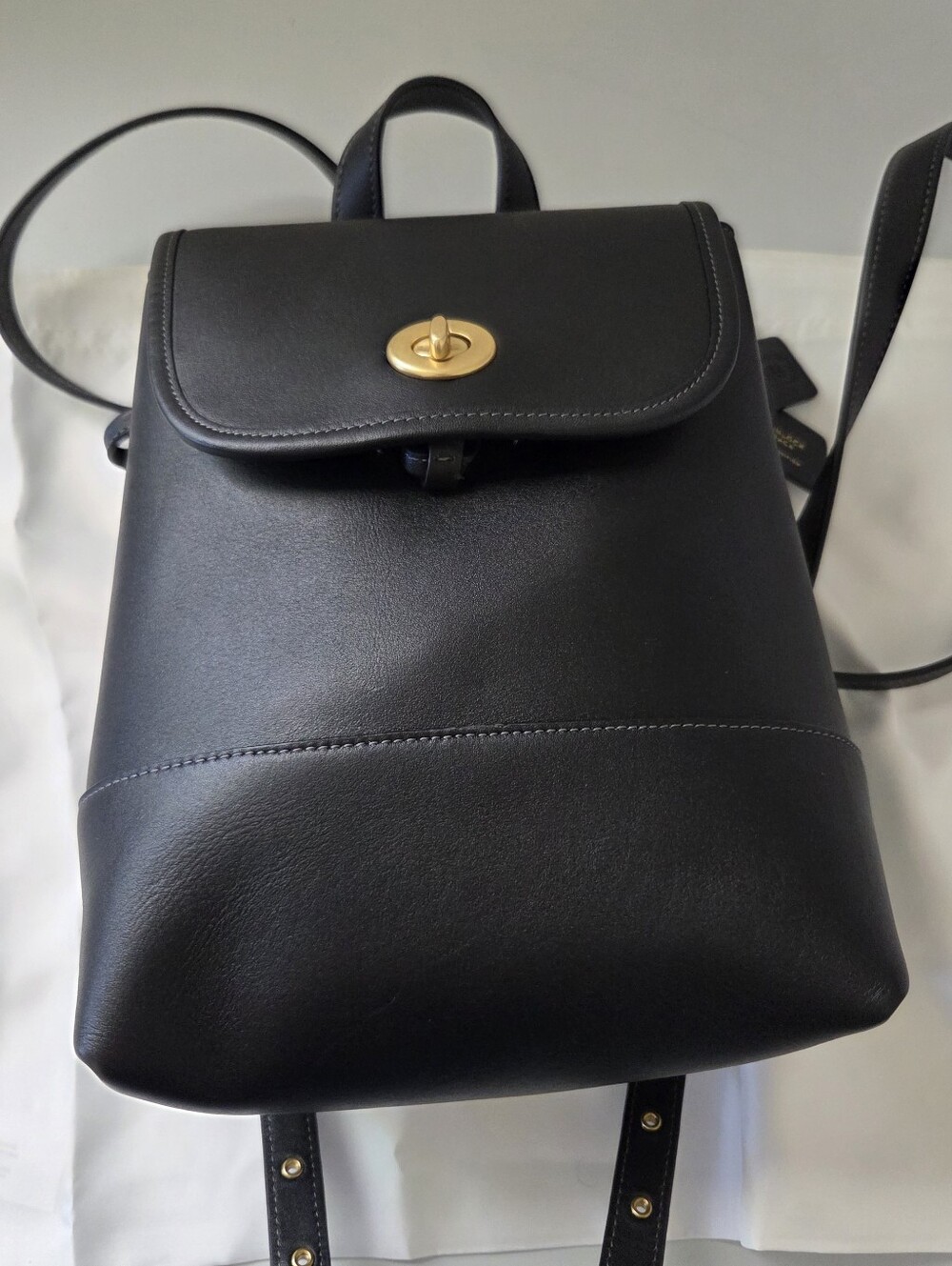 Coach Originals Glovetanned Leather Backpack Limited Edition